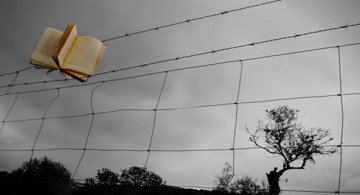 Tres sencillos trucos para enganchar a tus lectores