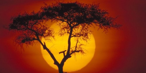 África