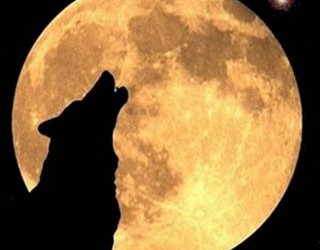 Lobo_aullando_a_la_Luna.[1]