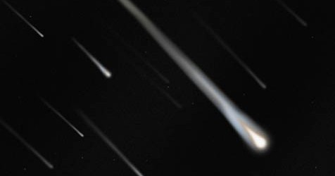 verperseidas_2