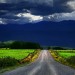 Historia de carretera