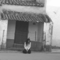 El cobertizo