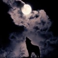 El acantilado de la Luna