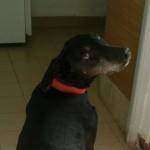 Imagen de perfil de DhIn