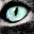 Imagen de perfil de alice